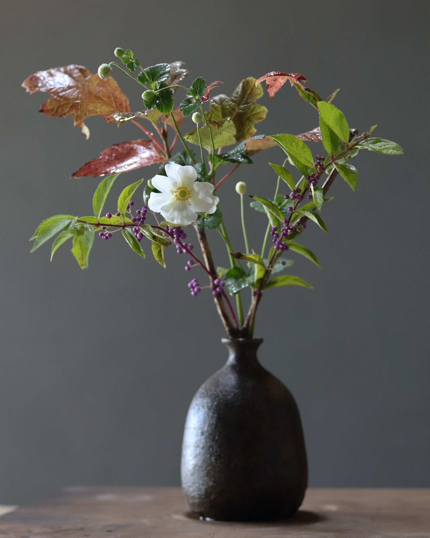 季節のお茶花 定期便 – 近江綴園 小さな季節のお買い物