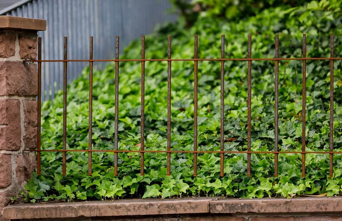 ELEO Zaun Padua aus Schmiedeeisen, unbeschichtet, auf Mauer installiert