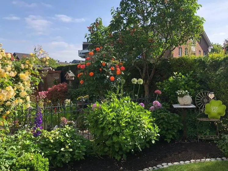 Clôture ELEO Belluno, revêtement par poudre, comme clôture décorative dans le jardin