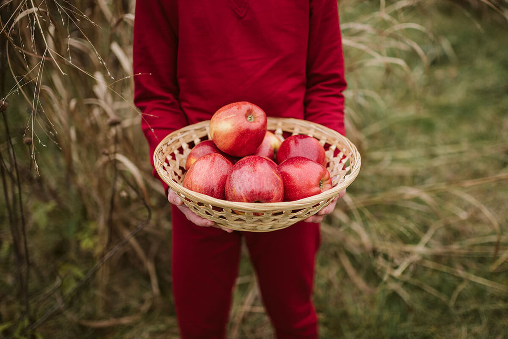 Apple Picking with Kids