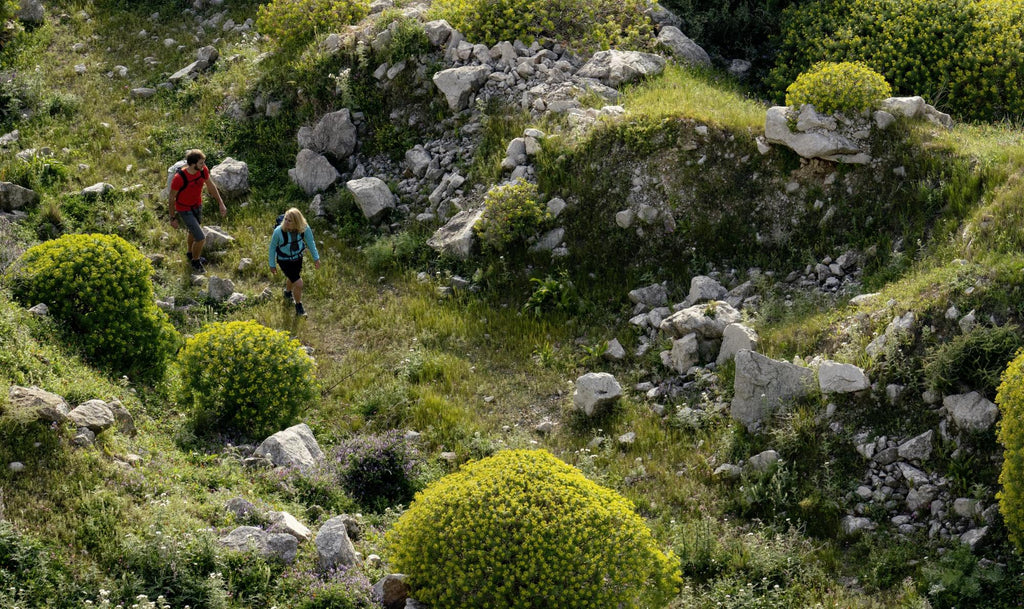 Walkers exploring the countryside with LOWA footwear