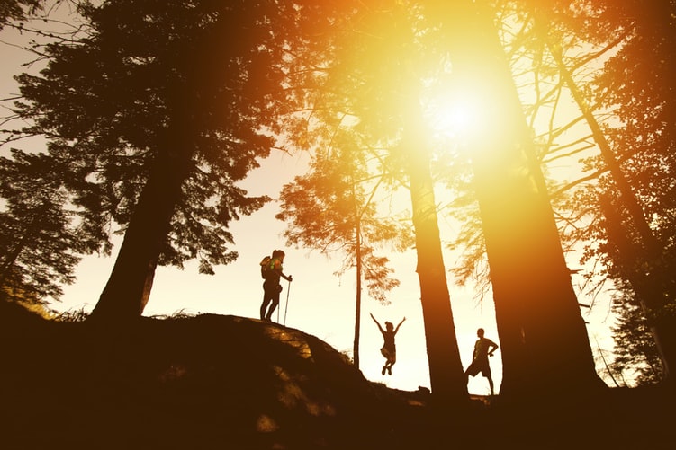 Walkers on a wooded trail on a summer’s day