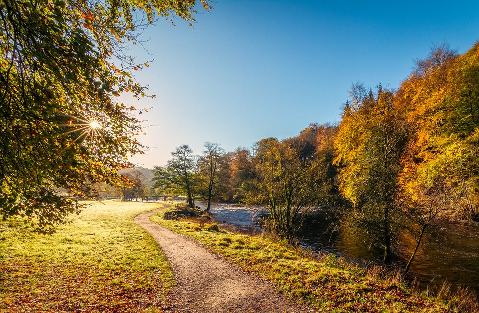 Sunset in autumn along the River Wharfe in Yorkshire