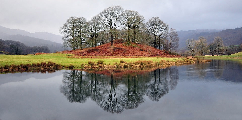 Trees in autumn by Haweswater Resevoir in the Lake District