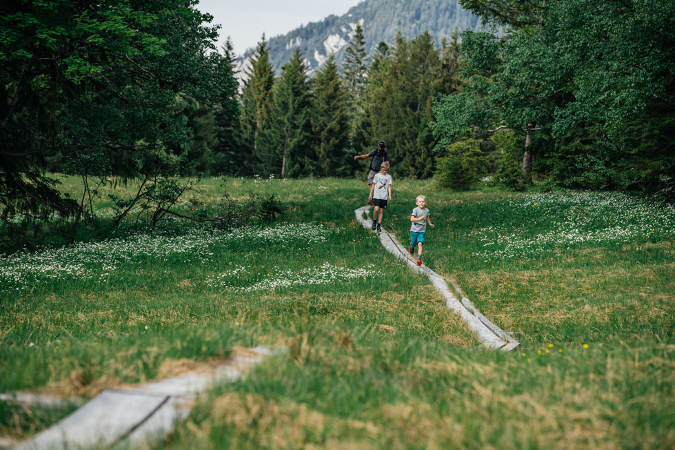 Family walking on path in woodland area. 