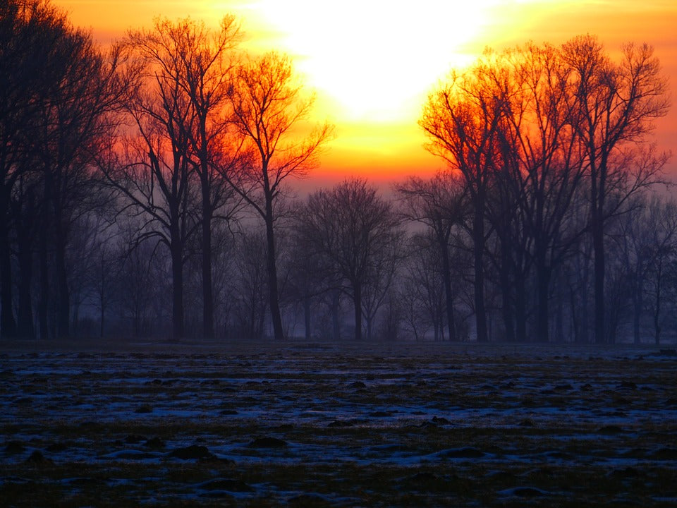 The sunrise on a winter’s morning. 