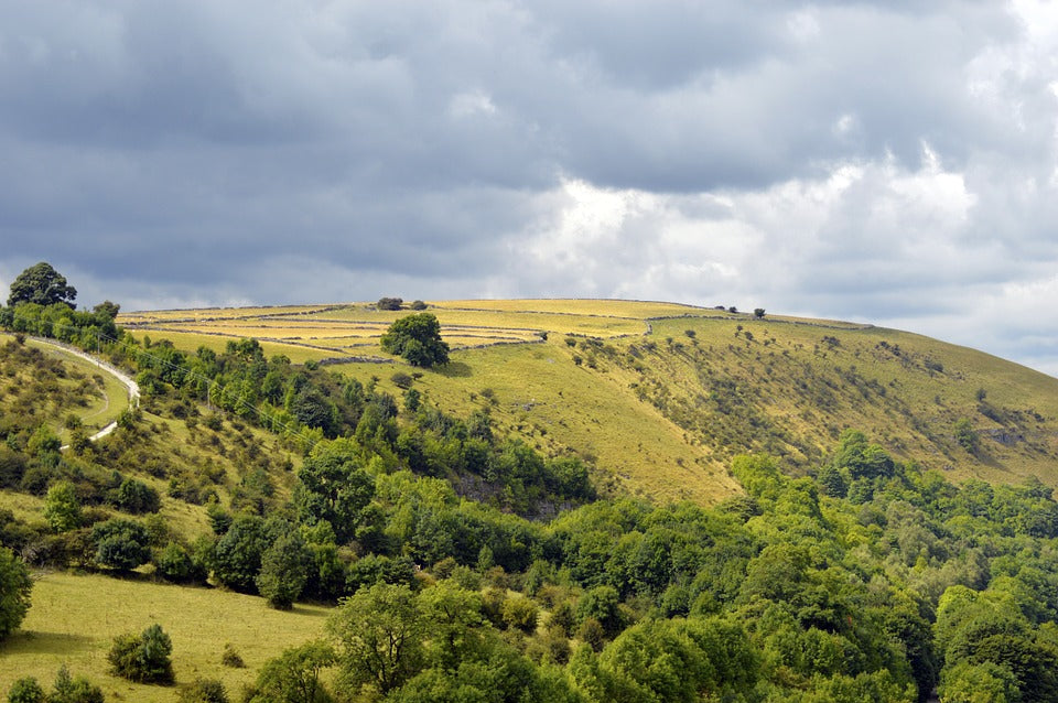 A hillside in Derbyshire, UK