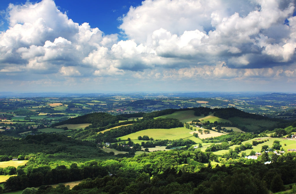 Green English countryside on a sunny day