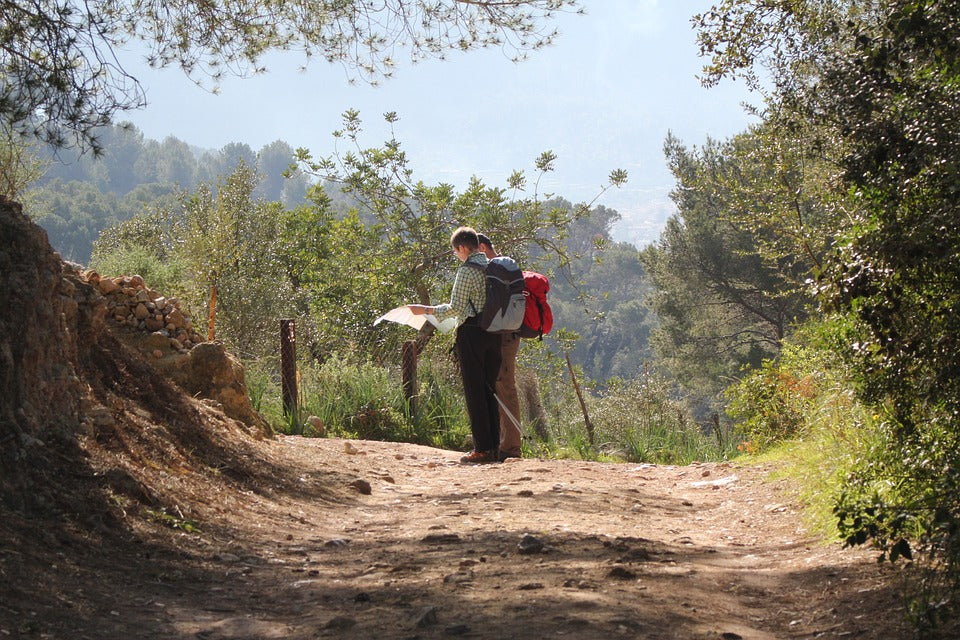 Two hikers looking at a map