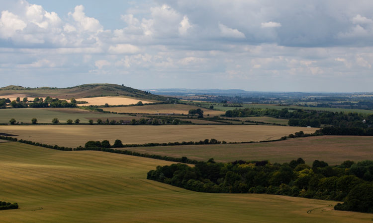 View over the Chiltern Hills