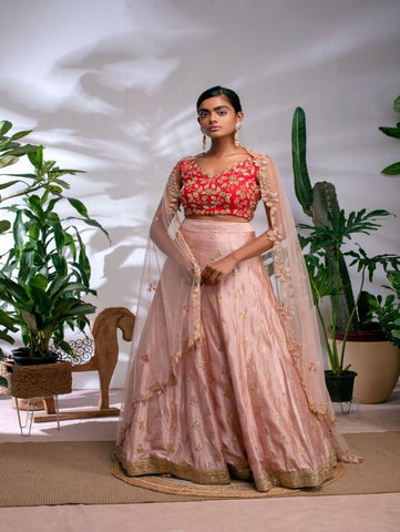Blush Pink And Red Raw Silk Zardosi Lehenga Set (Set of 3) By Anisha Shetty now available at Trendroots