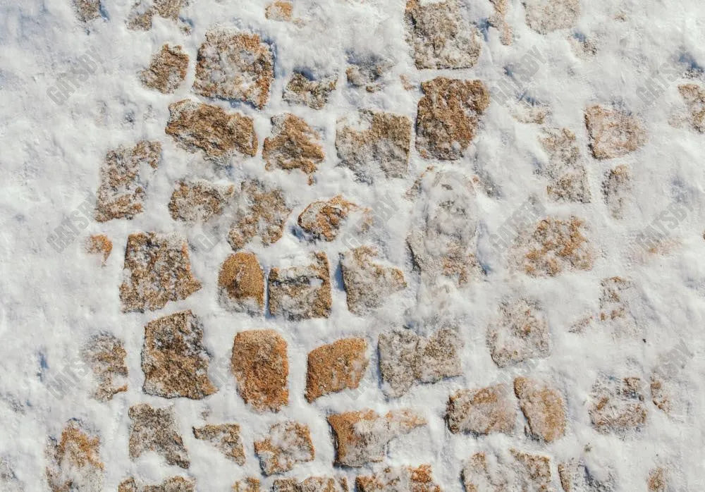 Snowy Stone Blocks Photography Backdrop GBSX-99905