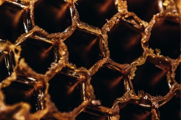 Alvéoles ruche miel