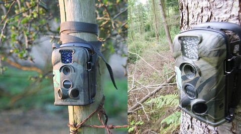 no glow and low glow wildlife camera example