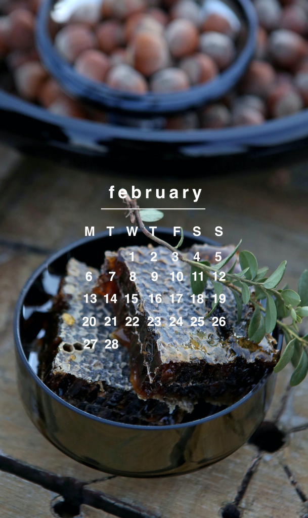 phone wallpaper calendar February