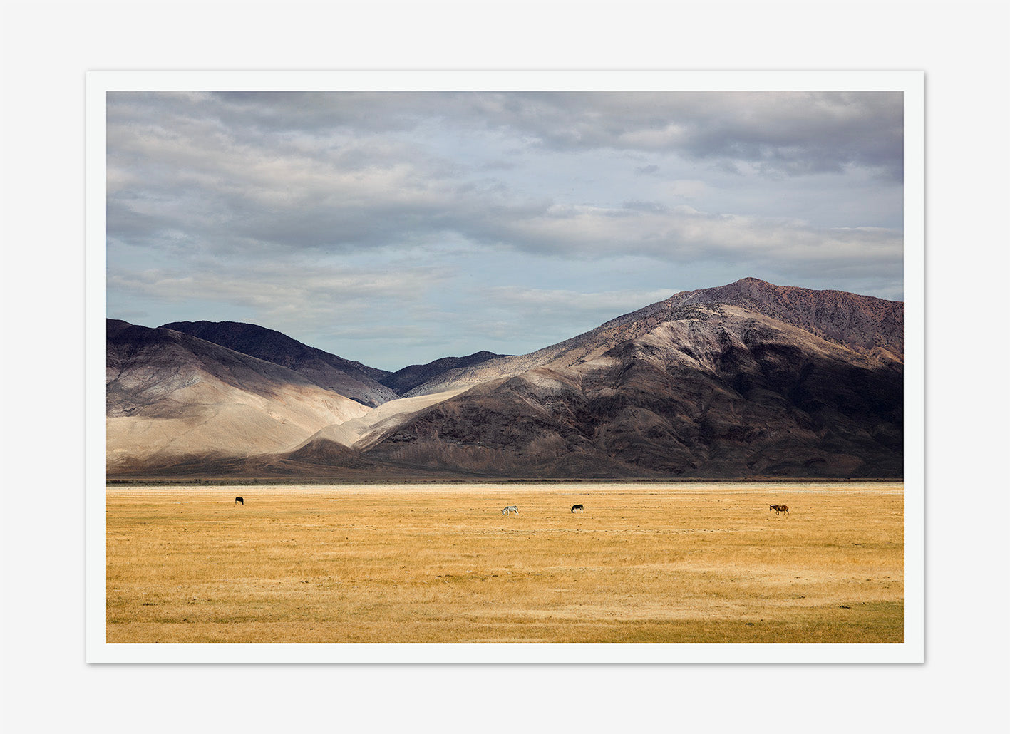 Product Image of Mono County #6