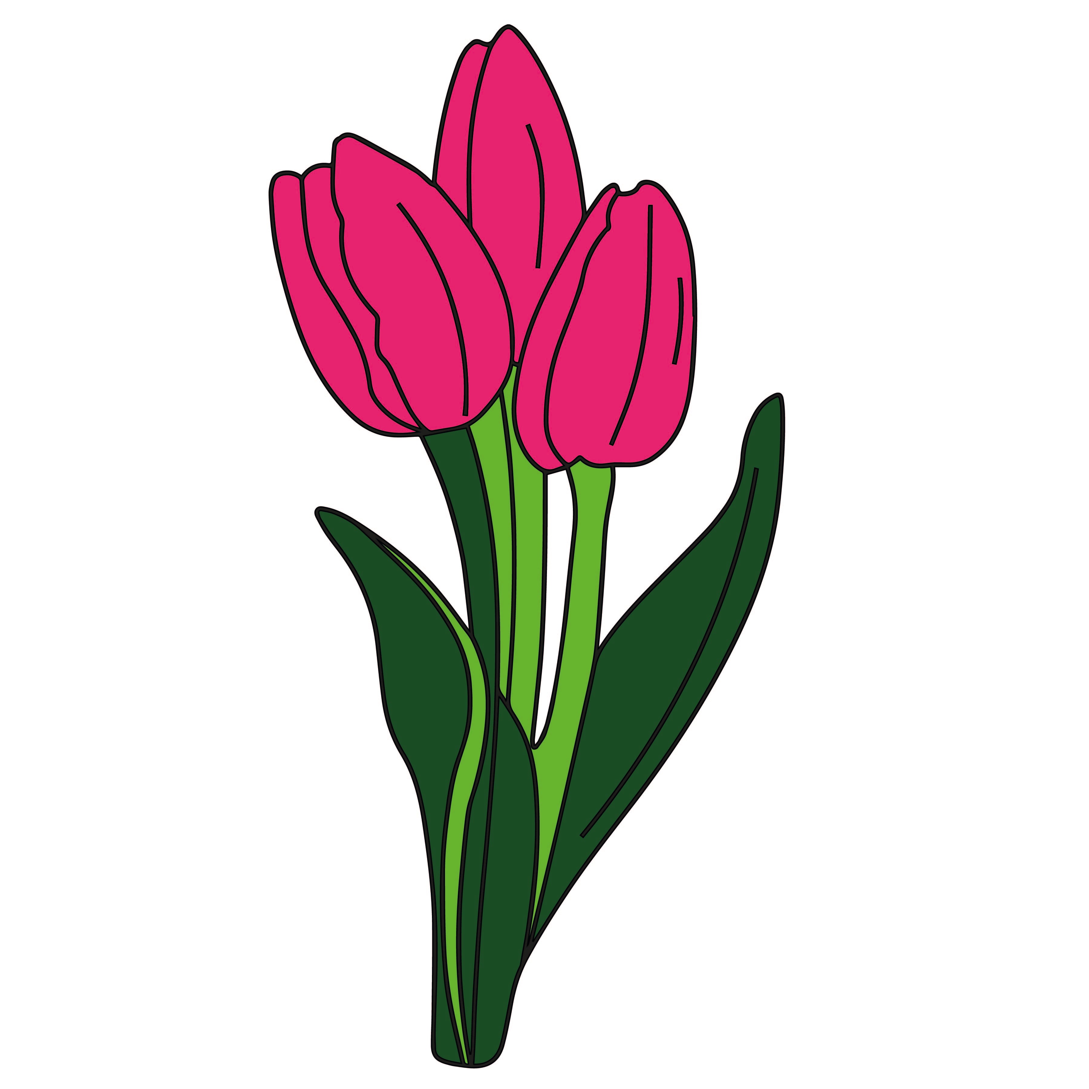 Tulip Flower Pre-Marked Cutout– Hobby India