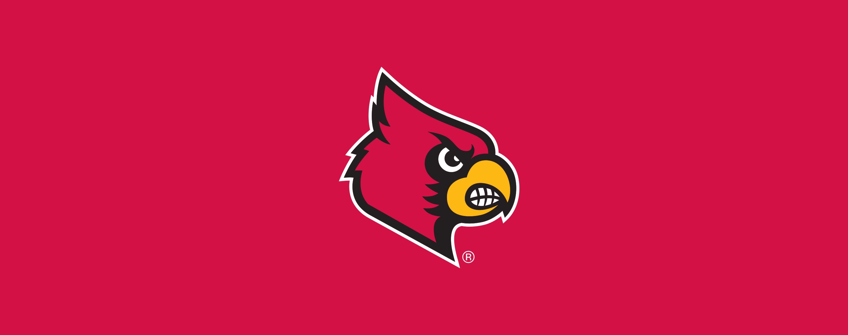 Louisville Cardinals No Show Socks (Large Adult (10-13))