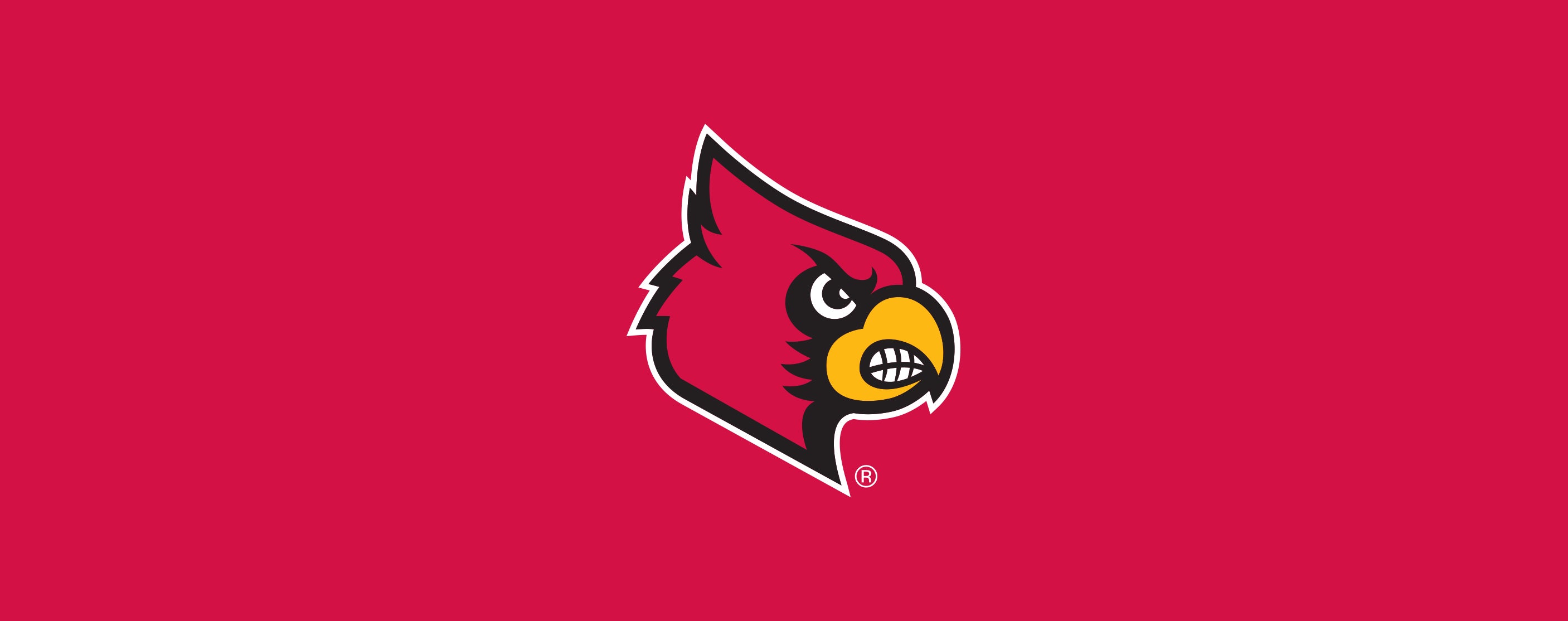 Louisville spirit wear, Louisville, CO, Panthers