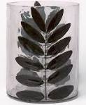 fern vase