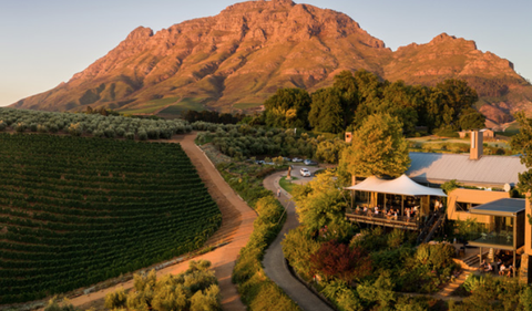 Tokara wine Ireland