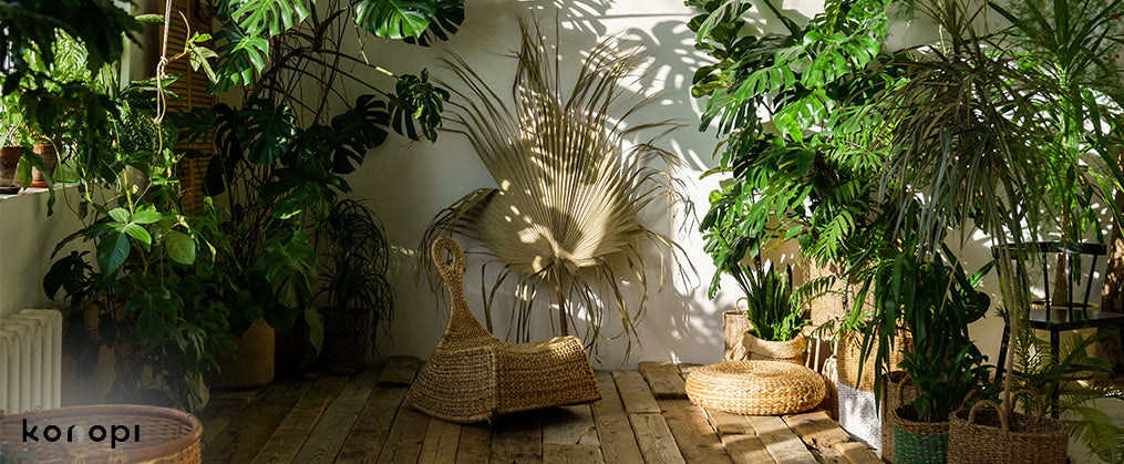 Decorate With Plants-Outdoor Furniture Singapore