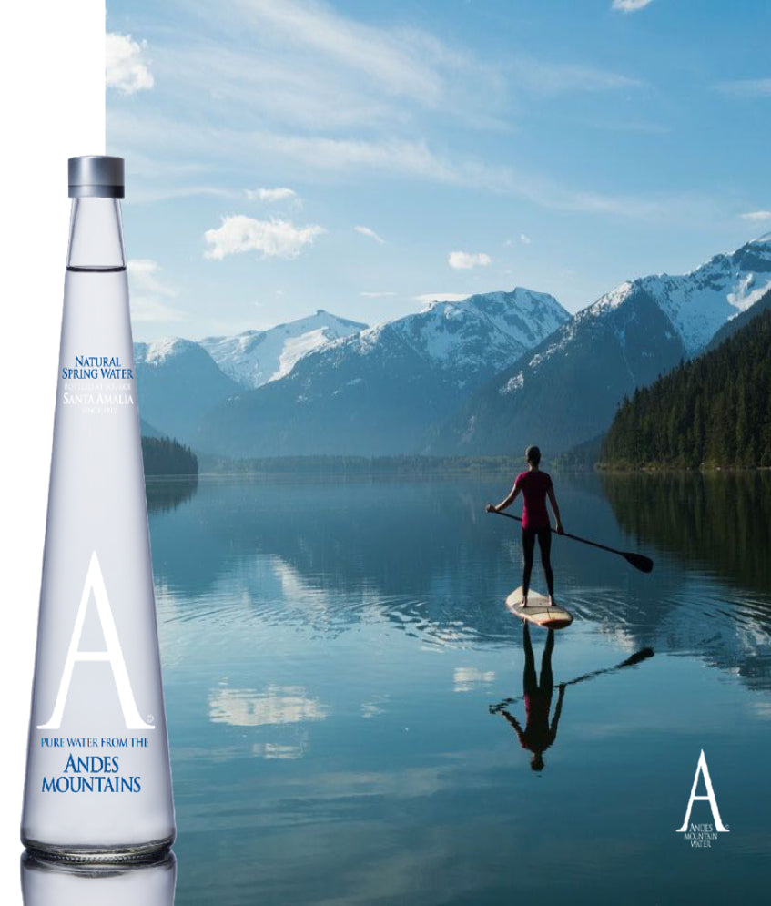 BOTELLA AGUA PURIFICADA 500 ml. – Antuco de los Andes