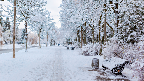 Snowy Street