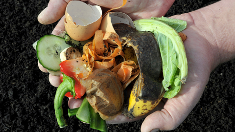 Compostable Food Scraps