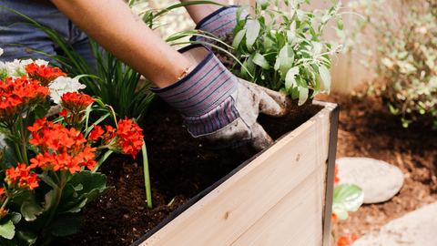 Cedar Planters Raised Garden Bed