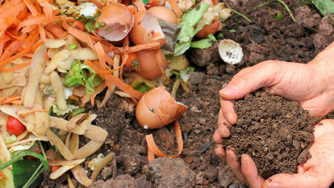 Compost Heap With Food Scraps