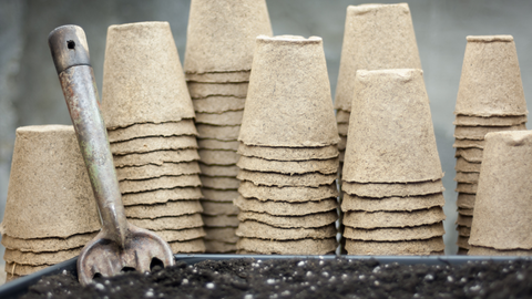 Biodegradable Seed Pots