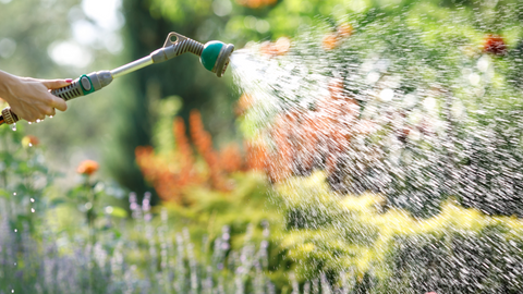 Watering Your Garden
