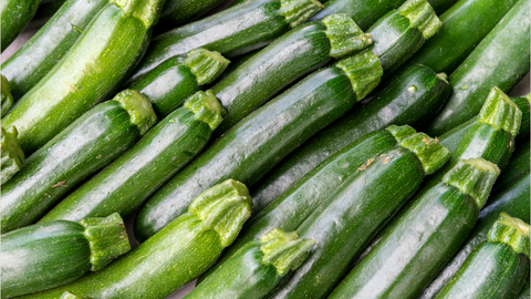 Home Grown Zucchini