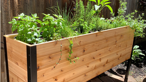 Cedar Planters Raised Garden Bed