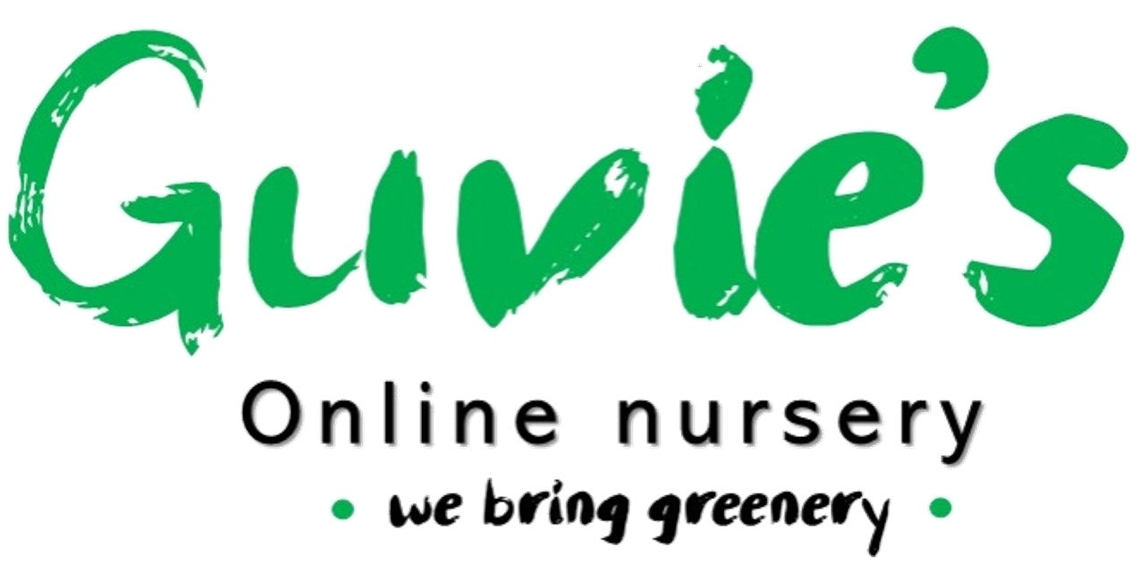 Guvie's Online Nursery