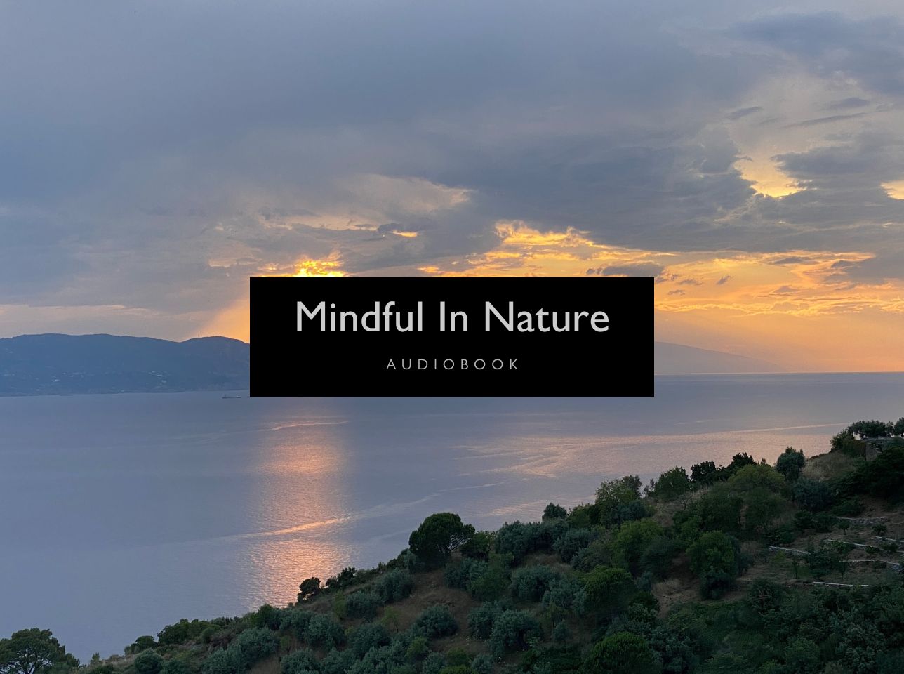 Mindful In Nature Audiobook