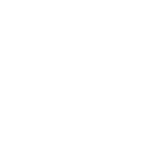 Fast shipping icon