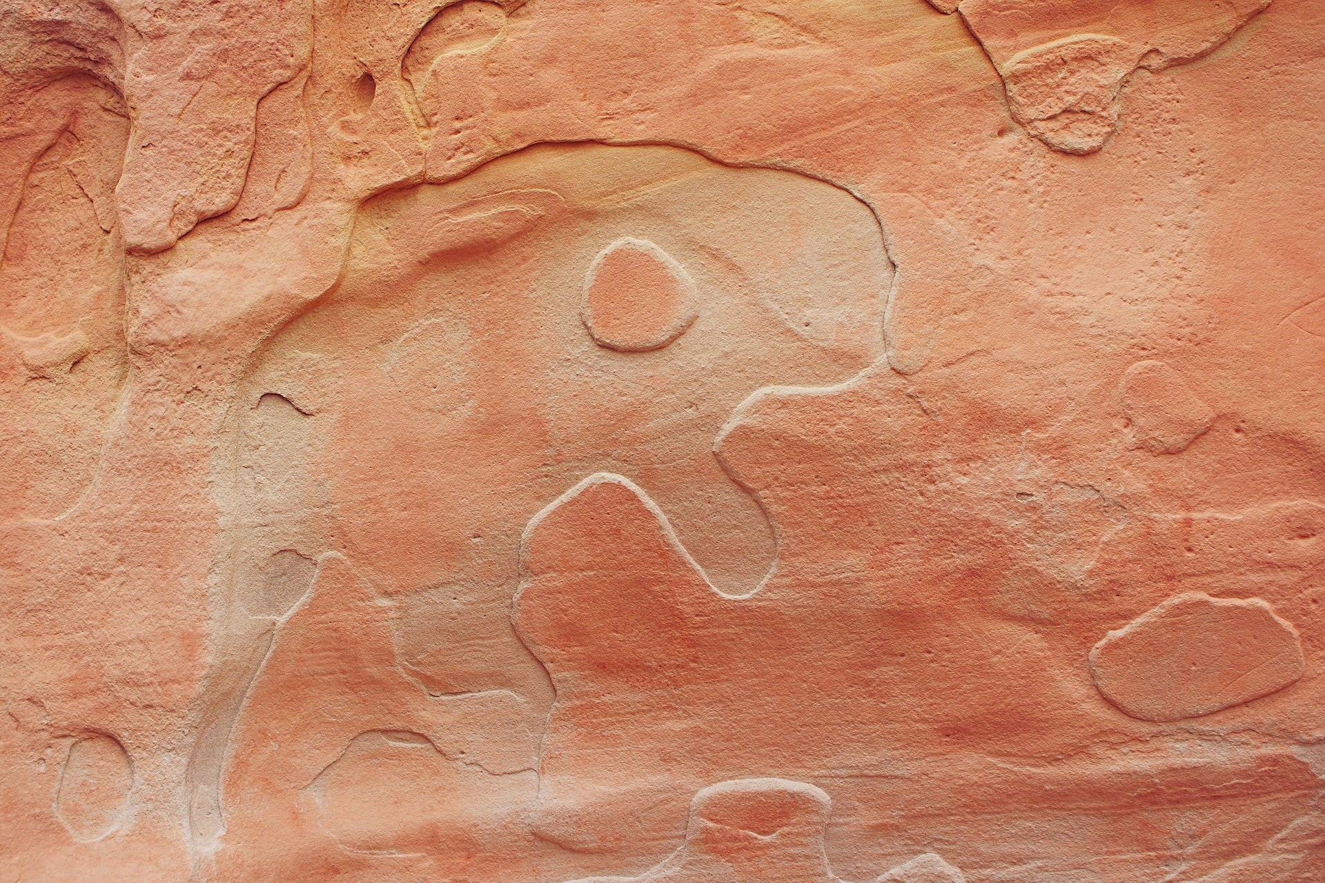 A petroglyph of what appears to be a buffalo. Photo by: James Lee