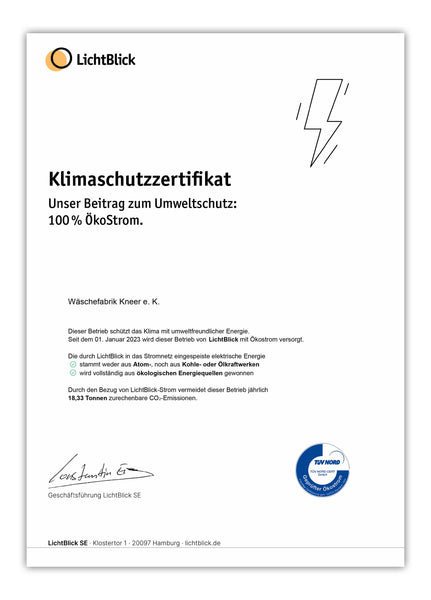 Ökostrom: Kneer stellt vollständig auf grüne Energie um