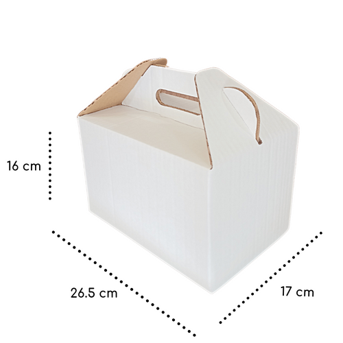 CAJA SORPRESA DE COLORES CON TAPA 30 x 30 x 30 cm – la fabrica de cajas mx