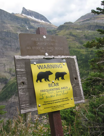 bear activity sign