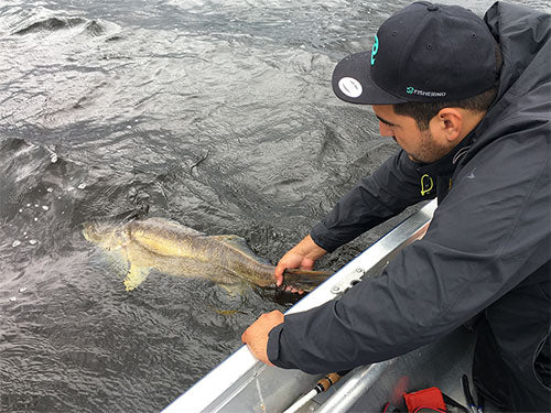 Catch and Release: Beim Release stützen