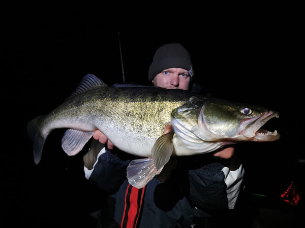 Winterzander am Shallow-Rig