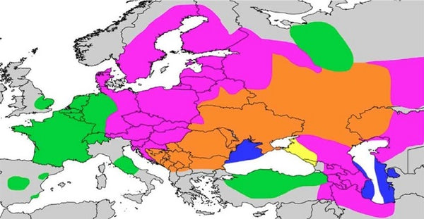 Zandervorkommen in Europa