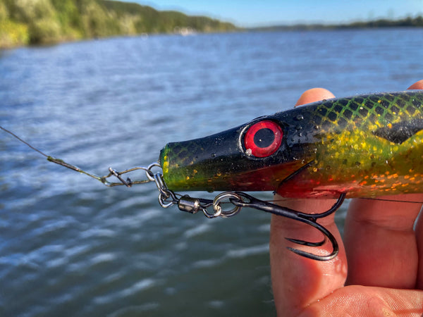 Pig-Shad am unbeschwerten Shallow-Rig