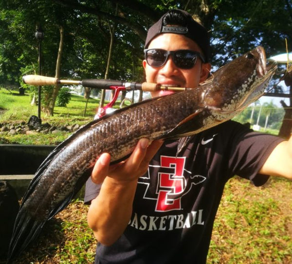 Snakehead auf den Philippinen angeln