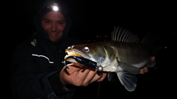 Zander: Erfolg bei Nacht