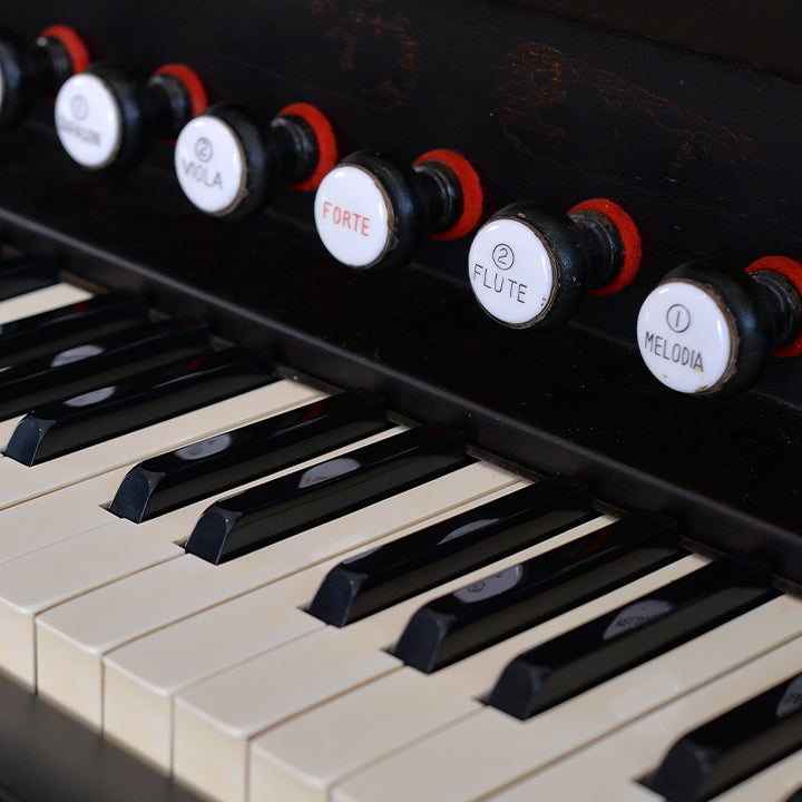 カワイ リードオルガン 61鍵盤 7ケストップ付き 器材 | riancompany.com