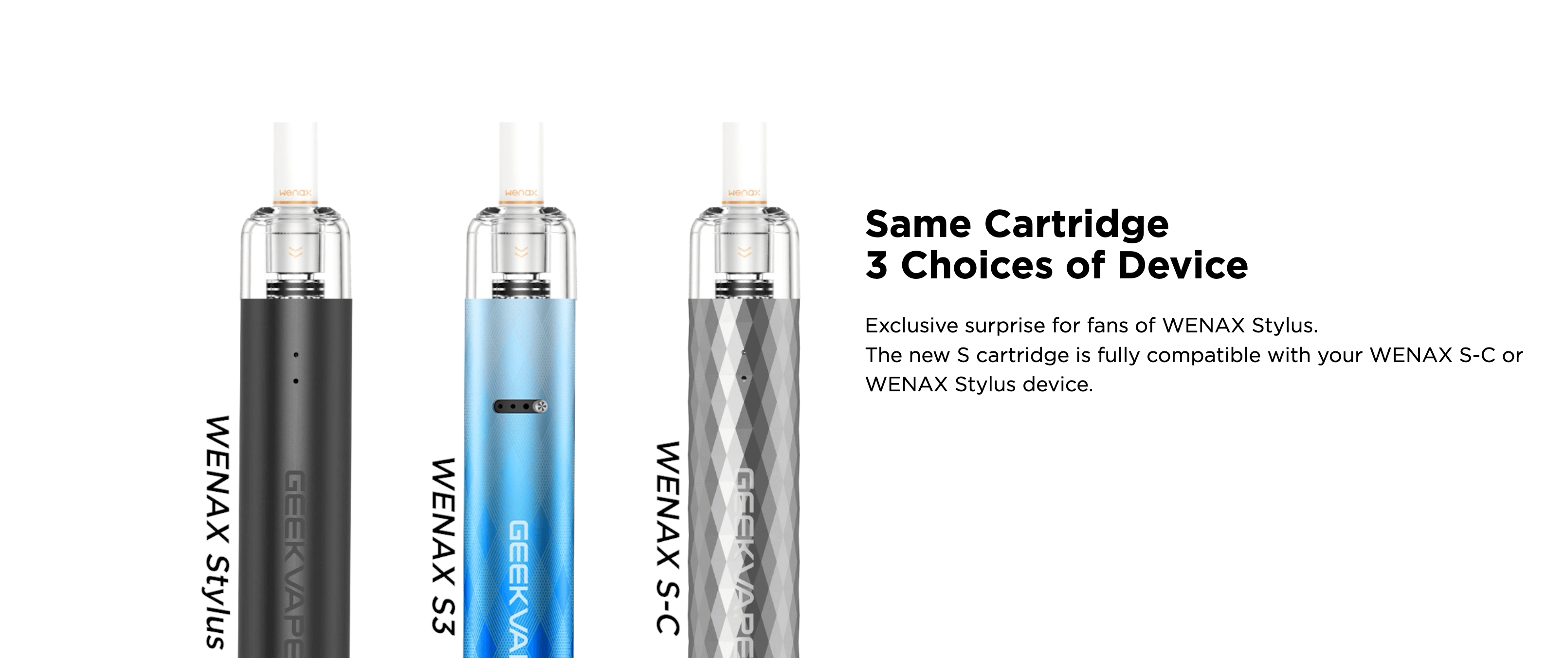 Wenax S3 GeekVape, Silver, Eco.LogicaMente